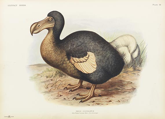 Lionel Walther Rothschild Dead as a Dodo Extinct birds. London, Hutchinson & Co. 1907. -
