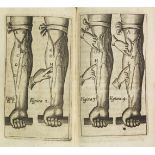 William Harvey Exercitationes anatomicae, de motu cordis & sanguinis circulatione .. Accessit