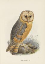George Dawson Rowley Widmungsexemplar Ornithological miscellany. 3 Bände. London, Trübner u. a.