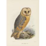 George Dawson Rowley Widmungsexemplar Ornithological miscellany. 3 Bände. London, Trübner u. a.