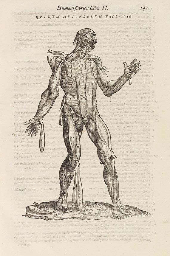 Andreas Vesalius Grundlage der modernen Anatomie Anatomia. Addita nunc postremo etiam antiquorum