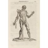 Andreas Vesalius Grundlage der modernen Anatomie Anatomia. Addita nunc postremo etiam antiquorum