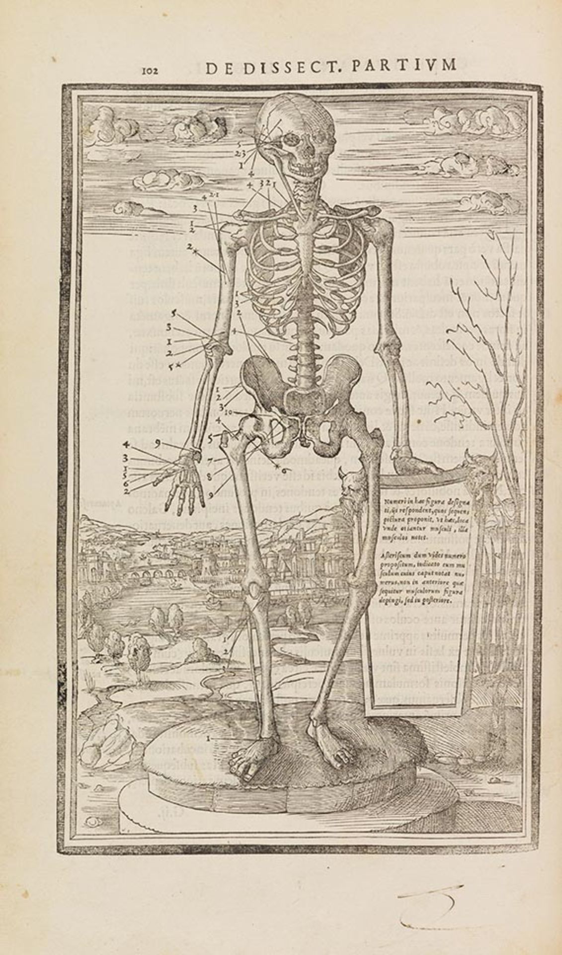 Charles Estienne Anatomie der Renaissance De dissectione partium corporis humani libri tres.