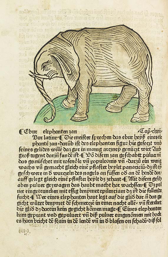 Hortus sanitatis Altkoloriertes Exemplar des Gart Gart der Gesundheit. Herausgegeben von Johannes de