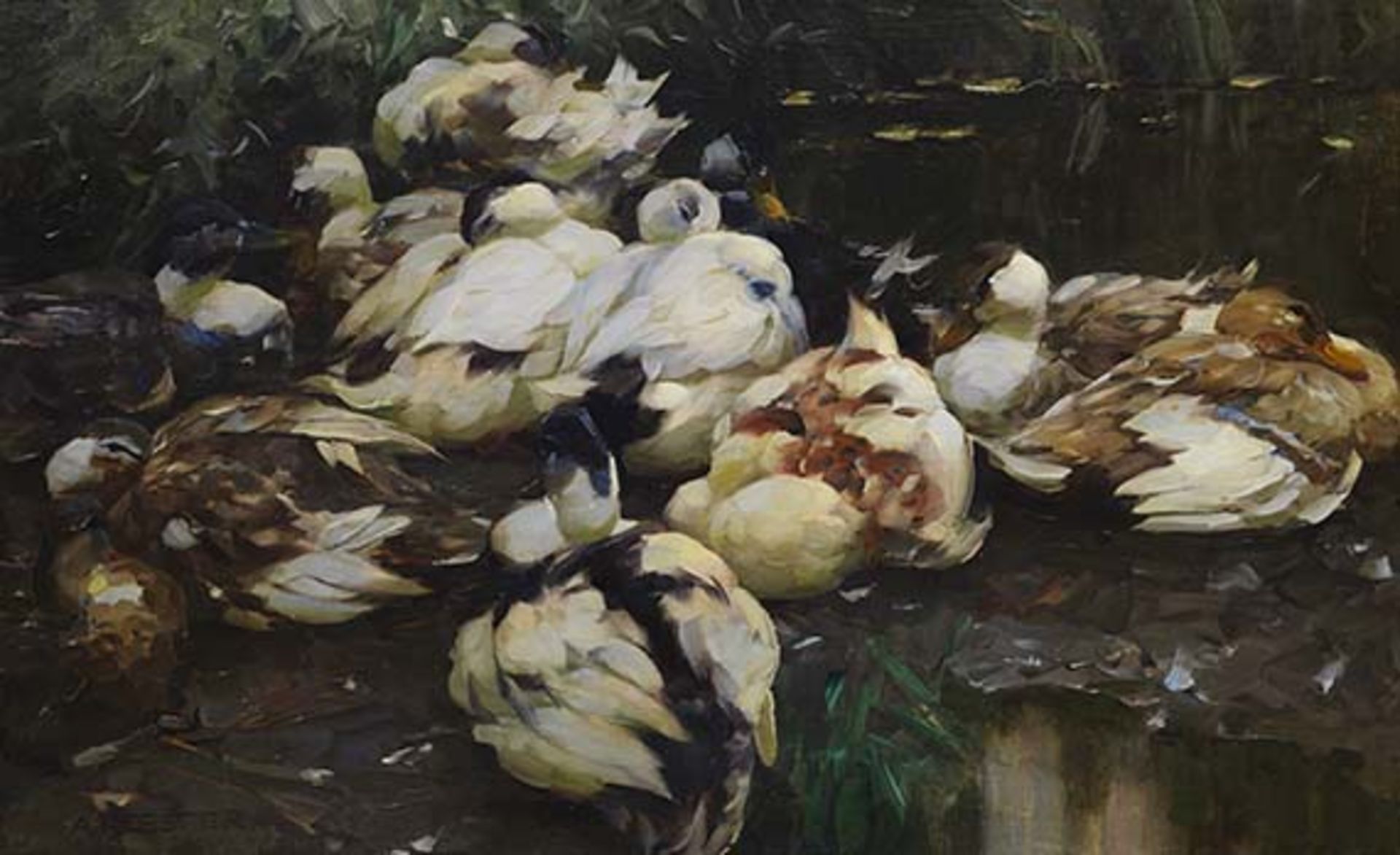 Alexander Koester 1864 Bergneustadt - 1932 München 12 Enten im Wasser. Um 1914. Öl auf Leinwand.