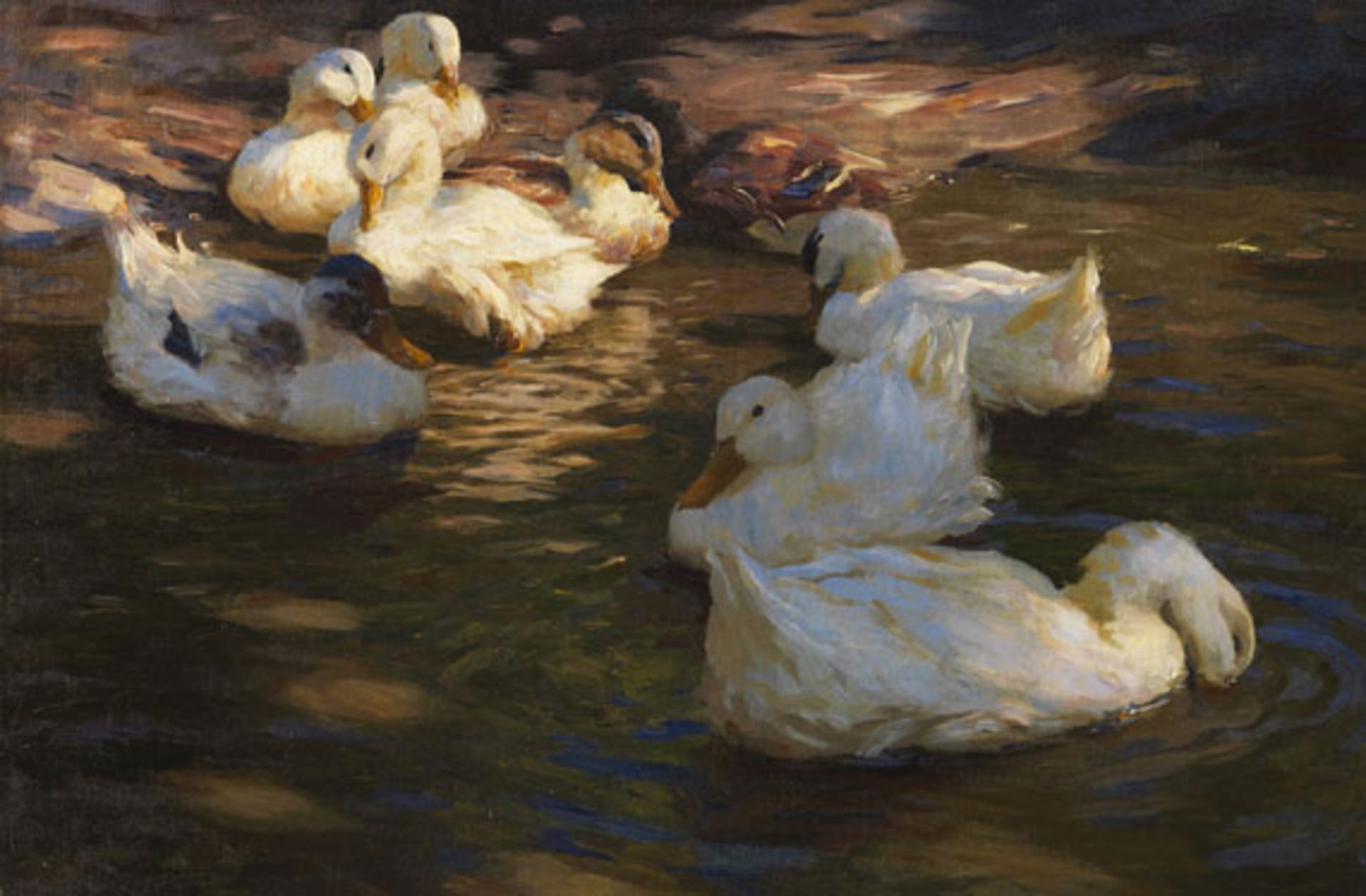 Alexander Koester 1864 Bergneustadt - 1932 München 9 Enten im Abendlicht. Um 1910. Öl auf