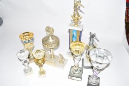 Group of eight various trophies, largest 47cm high