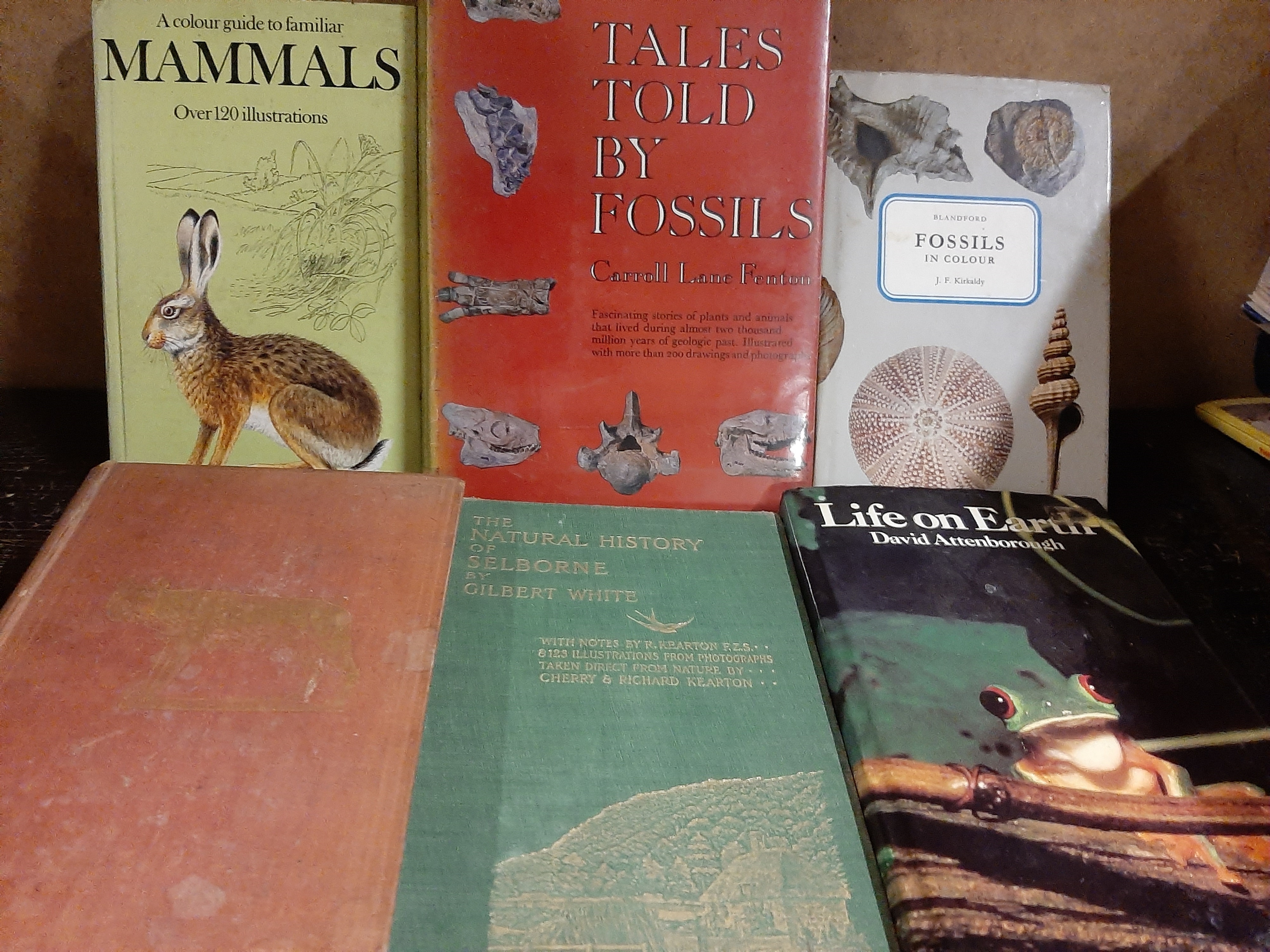 15 natural history books [our ref: 497a] - Image 2 of 3