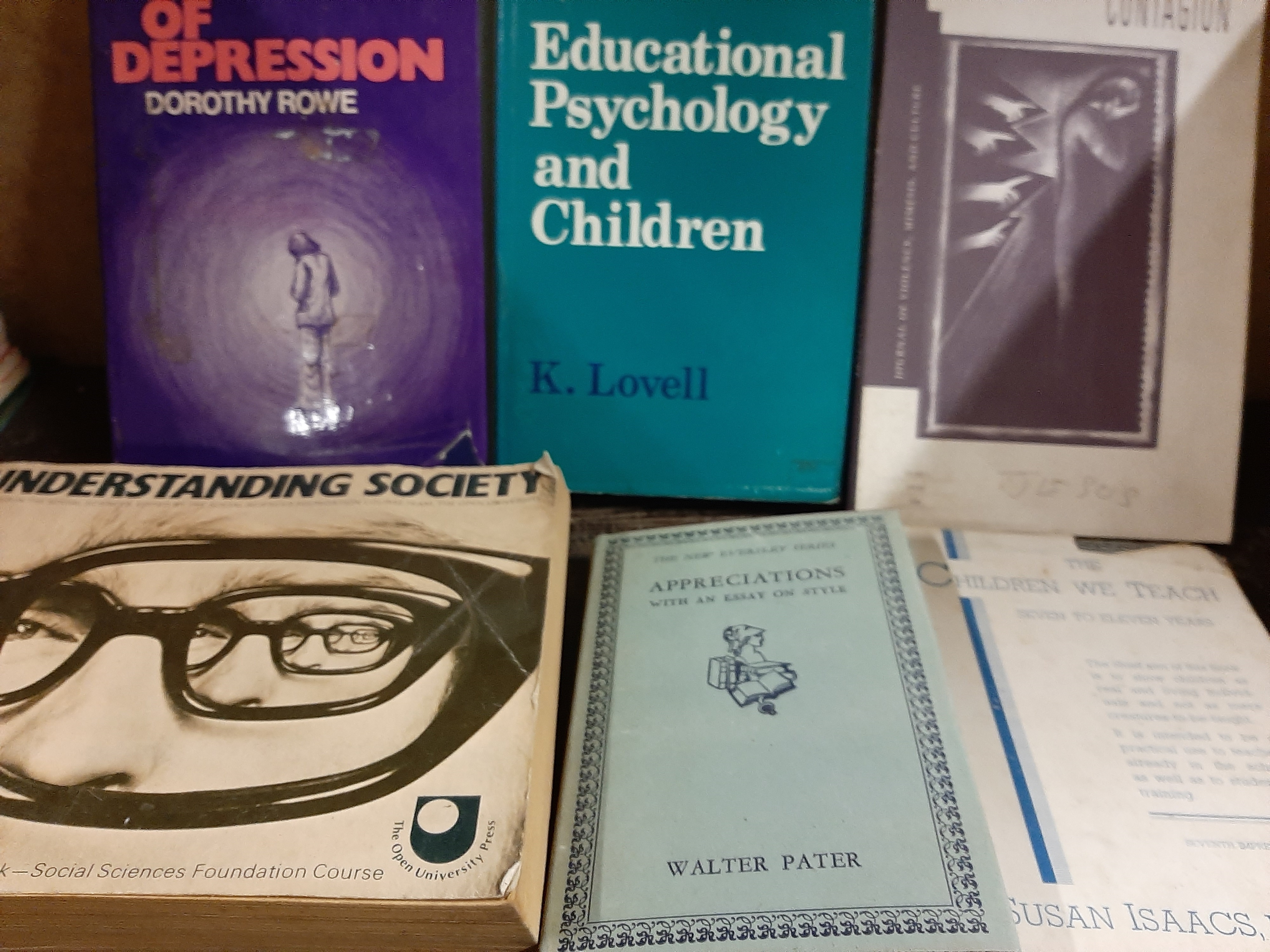 12 Sociology related books including Understanding Society, The Experience of Depression by