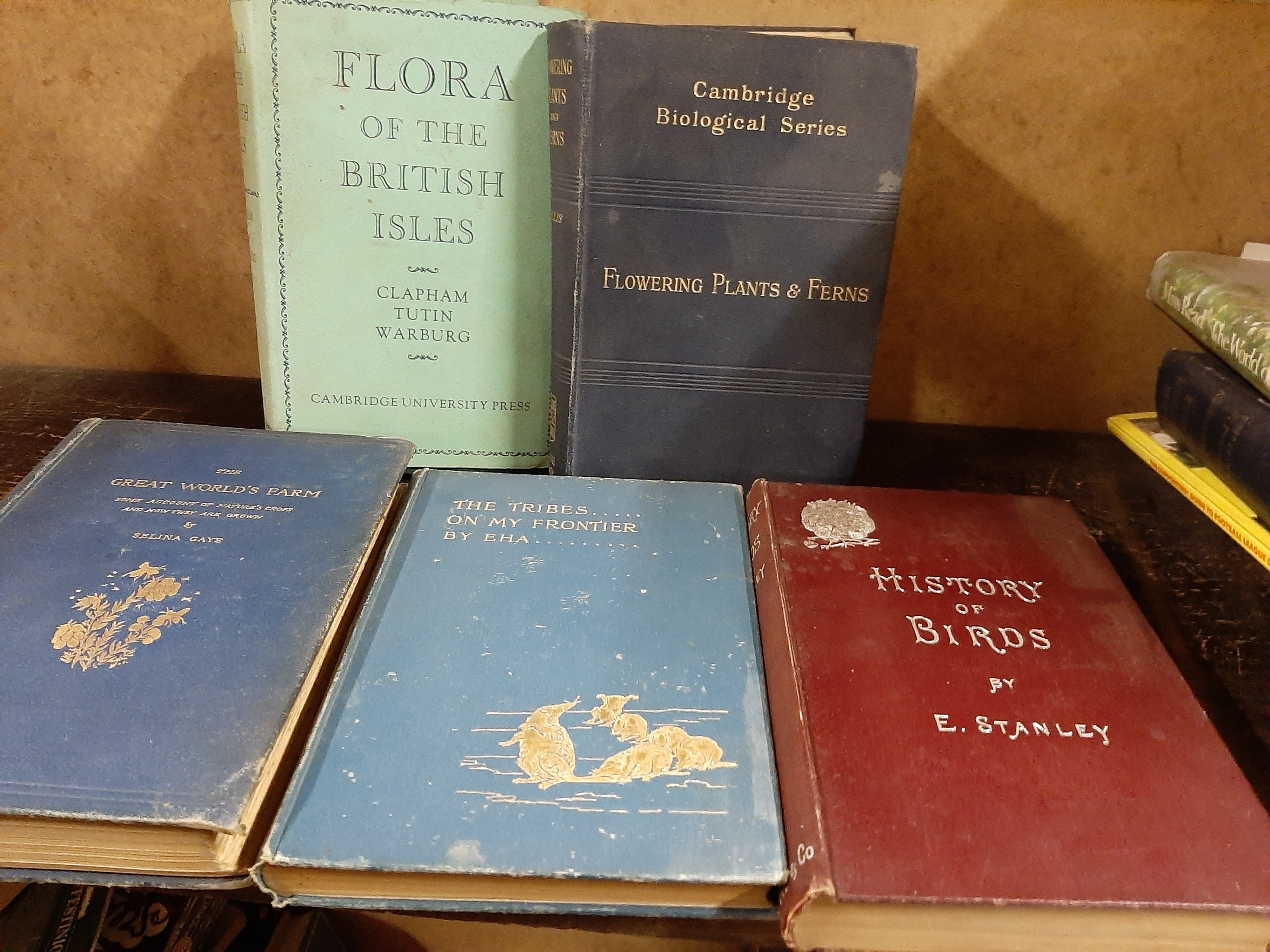 Approx 18 natural history related books including A Familiar History of Birds by Edward Stanley - Image 2 of 2