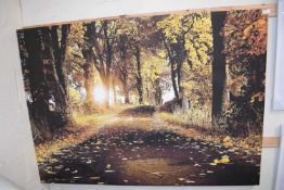 Woodland scene photographic print on canvas, width 140 x 100cm