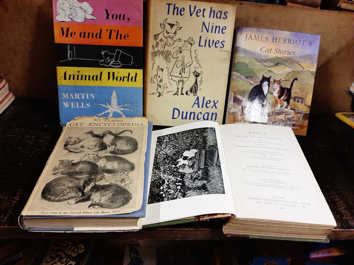 10 veterinary related books [our ref: 465b]