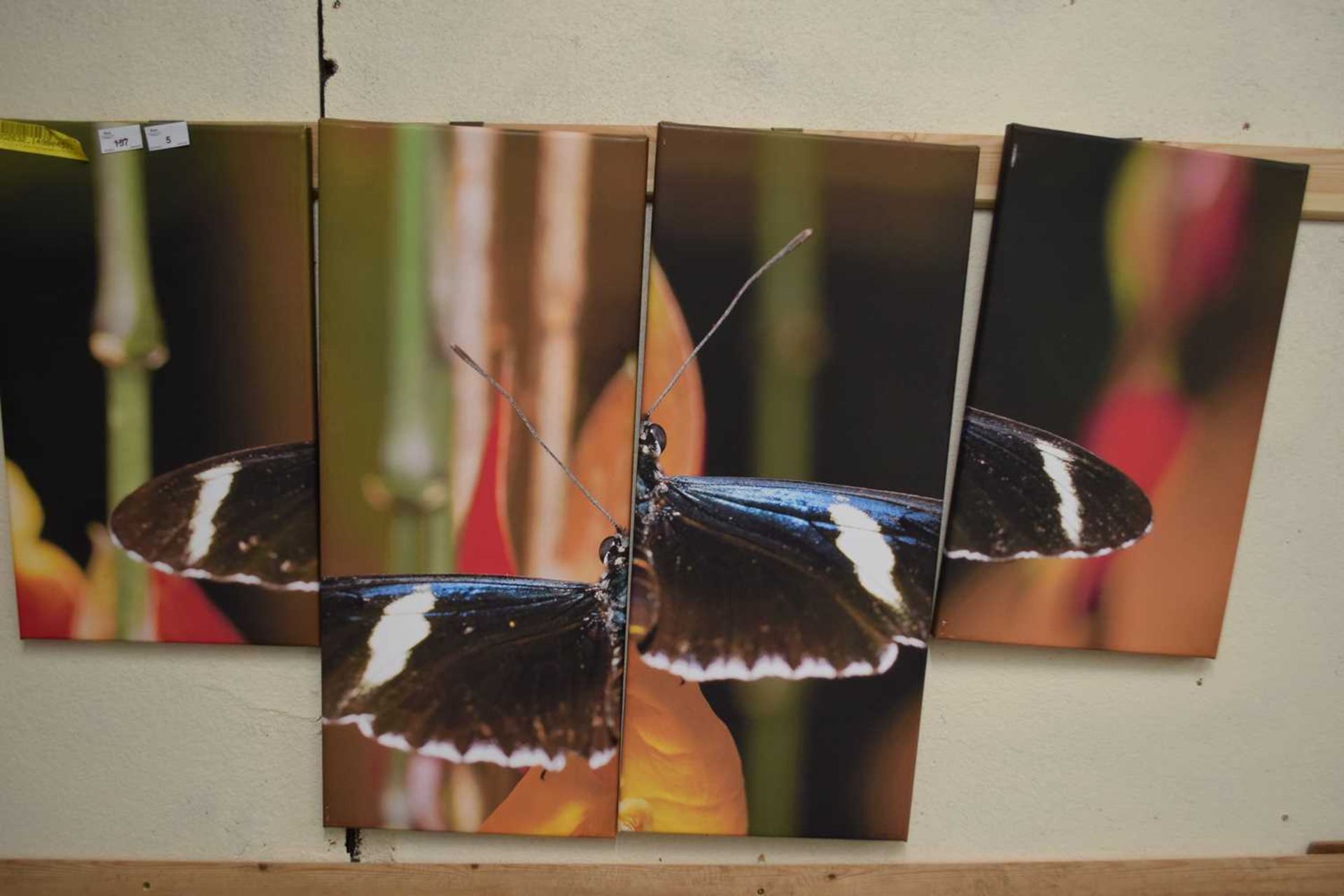 Butterfly four piece photographic print on canvas