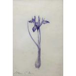 Henry George Moon (British,19th century), Iris Reticulata-botanical watercolour, signed in pencil,