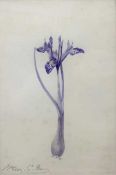 Henry George Moon (British,19th century), Iris Reticulata-botanical watercolour, signed in pencil,