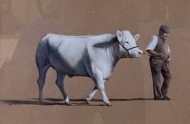 British school (20th century), farmer and bull study - "The Bull", acrylic and watercolour, framed