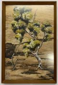 Australian, 20th century, acrylic on tree bark, signed "Wesley", 18x12ins, framed and glazed.