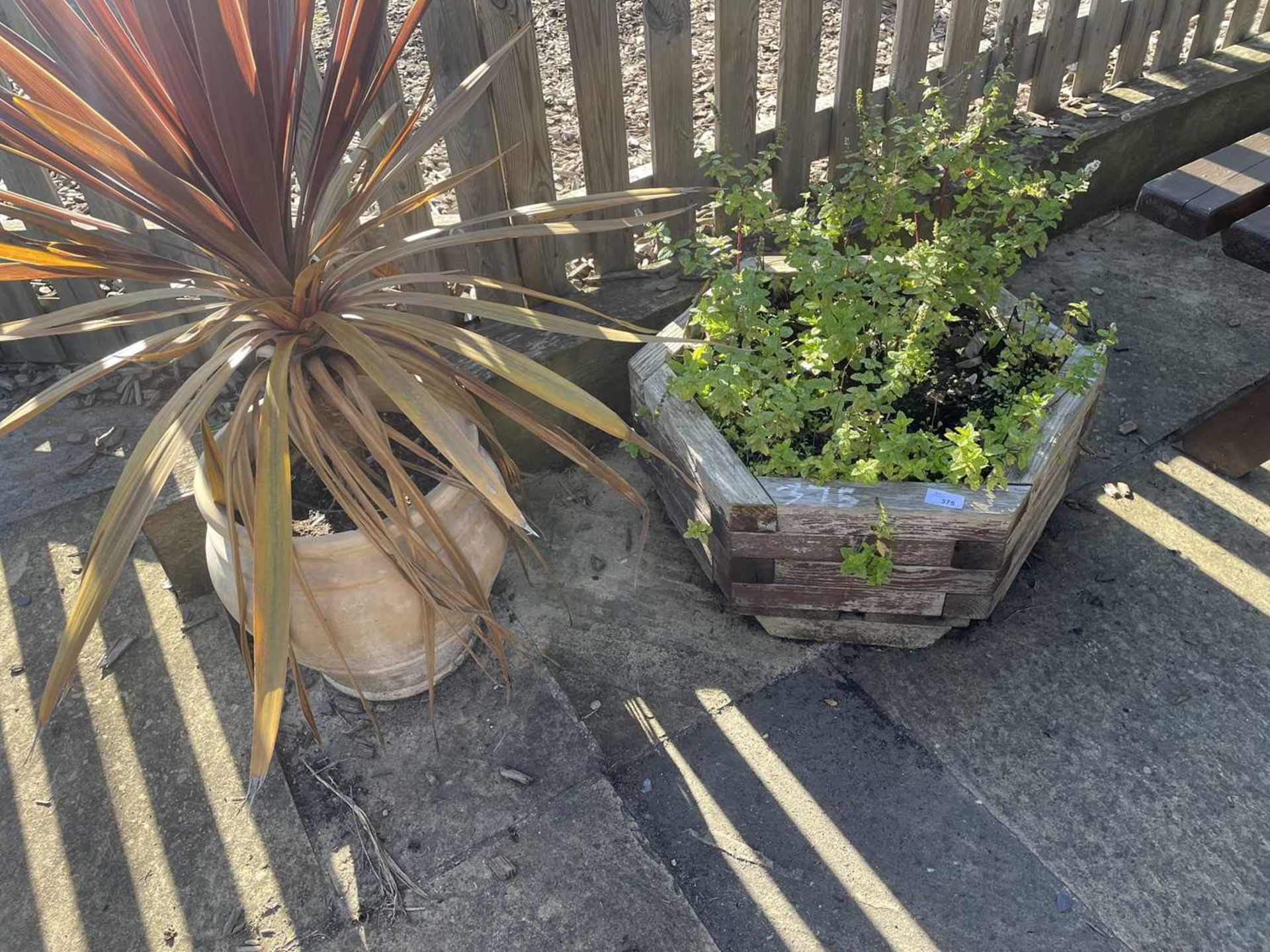 2 planters including contents