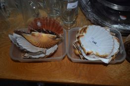 Quantity of scallop shells for decorative purposes together with a quantity of coconut shells