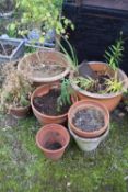 Mixed lot of various terracotta and plastic plant pots including contents