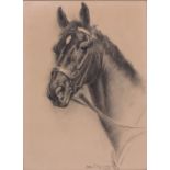 Iwan Edwin Hugentobler (Swiss, 1886-1972), illustration of a horse head, signed and dated 1945 l.r.,