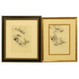 Eileen Soper (British, 1905-1990), fox cubs, two, pencil, each 22 by 15cm and 20 by 15cm, framed.