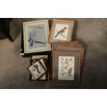 A Collection of framed pictures including 19th cen