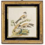 A 19th Century Chinese silk embroidered picture, two exotic birds on a branch guarding a nest of