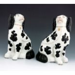 A pair of Staffordshire pottery dogs, circa 1860, modelled as seated black and white spaniels, with