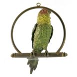 An Austrian cold painted bronze model of a parrot on a suspended hoop perch, early 20th Century,