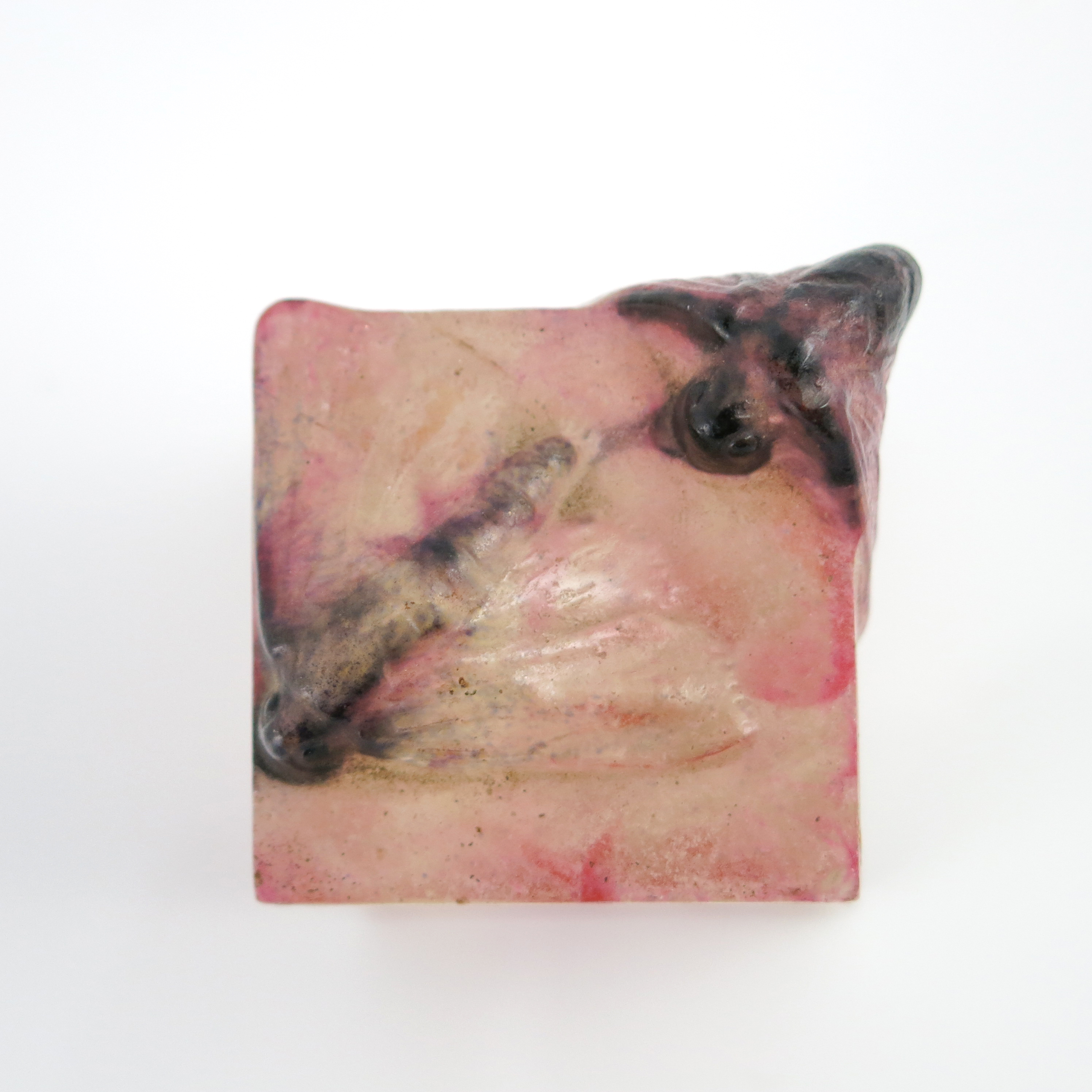 Gabriel Argy-Rousseau, a pate de verre glass Moth paperweight - Image 2 of 5