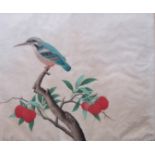 Chinese School, 19th Century, ornithology studies, two birds, a pair, one on a fruiting branch,