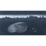 Ken Tsuji (Japanese, 1946), large shell in a landscape, signed l.r., monochrome etching No.22/95, 18