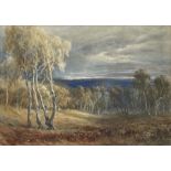 Bernard Walter Evans (British, 1848-1922), Near Cannock Chase, Staffordshire, signed l.l., titled