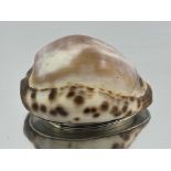 A George III Scottish cowrie shell snuff box, polished shell, bright cut engraved hinged cover