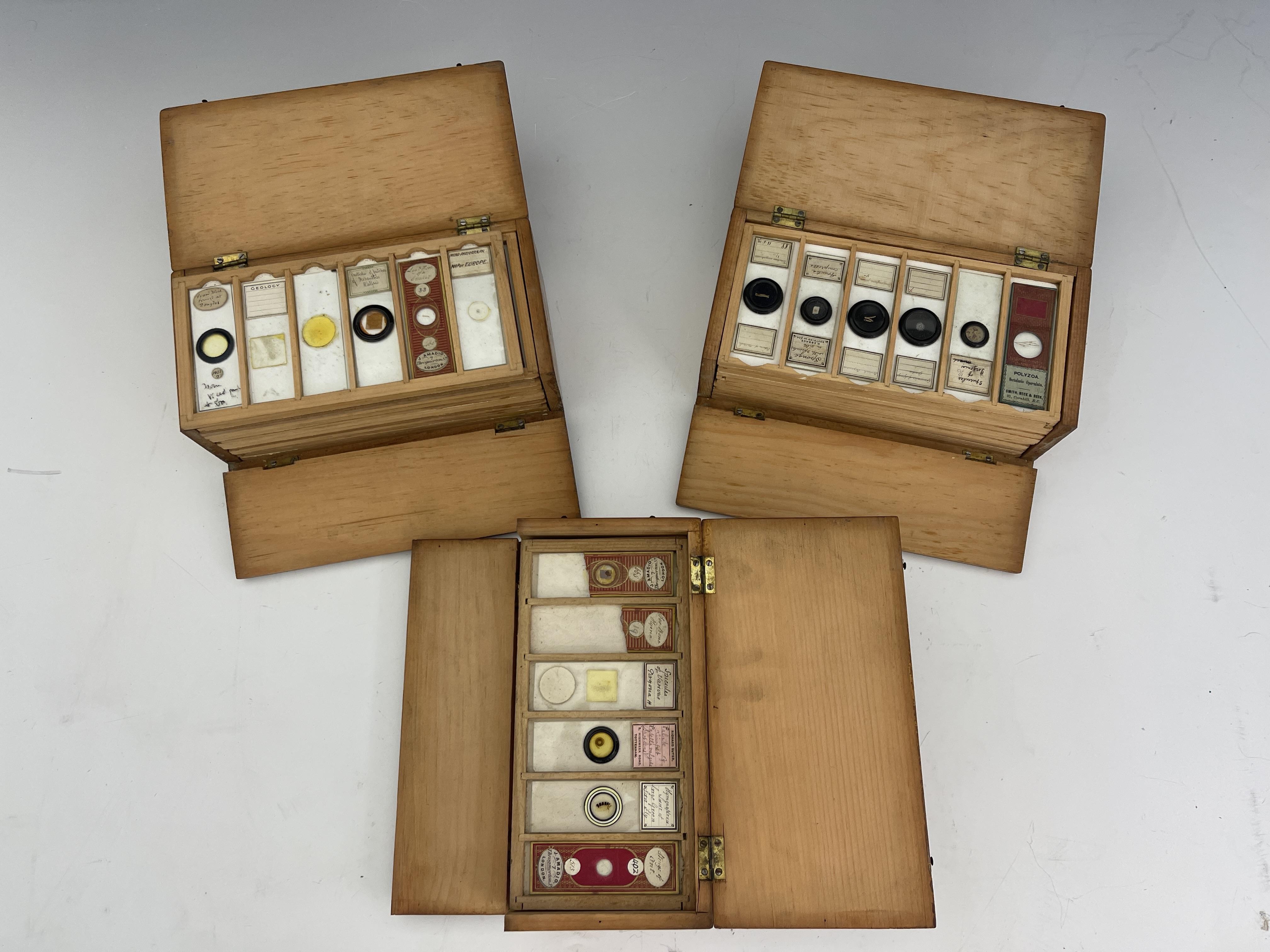 Three wooden boxes of laboratory glass specimen slides, written and printed labels to include - Image 2 of 2
