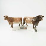 A Beswick cattle group of a Dairy Short Horn cow and bull, model nos 1863 and 1504, mounted on a