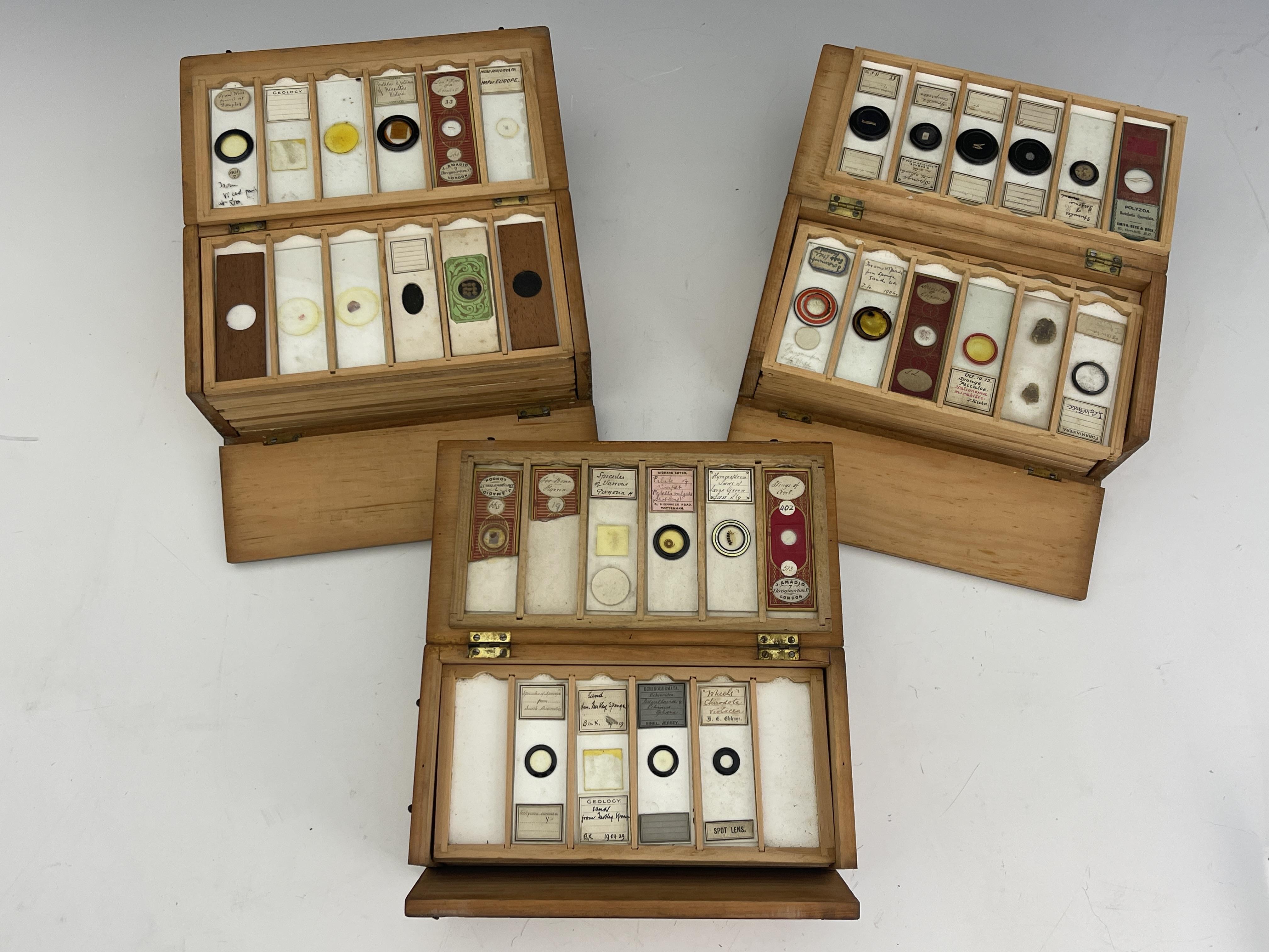 Three wooden boxes of laboratory glass specimen slides, written and printed labels to include