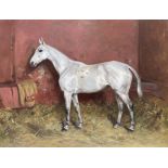 Alfred Grenfell Haigh (British, 1870-1963), a flea bitten thoroughbred horse in a stable, saddle