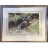 David Parry, Badgers in autumnal woodland, watercolour, signed, 29.5cm x 44.5cm, framed