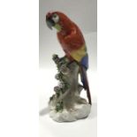 A Capodimonte model of a large parrot, modelled with realistic and coloured plumage perched on a