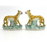 A rare pair of 19th Century Staffordshire pottery leopards, modelled strolling and decorated in