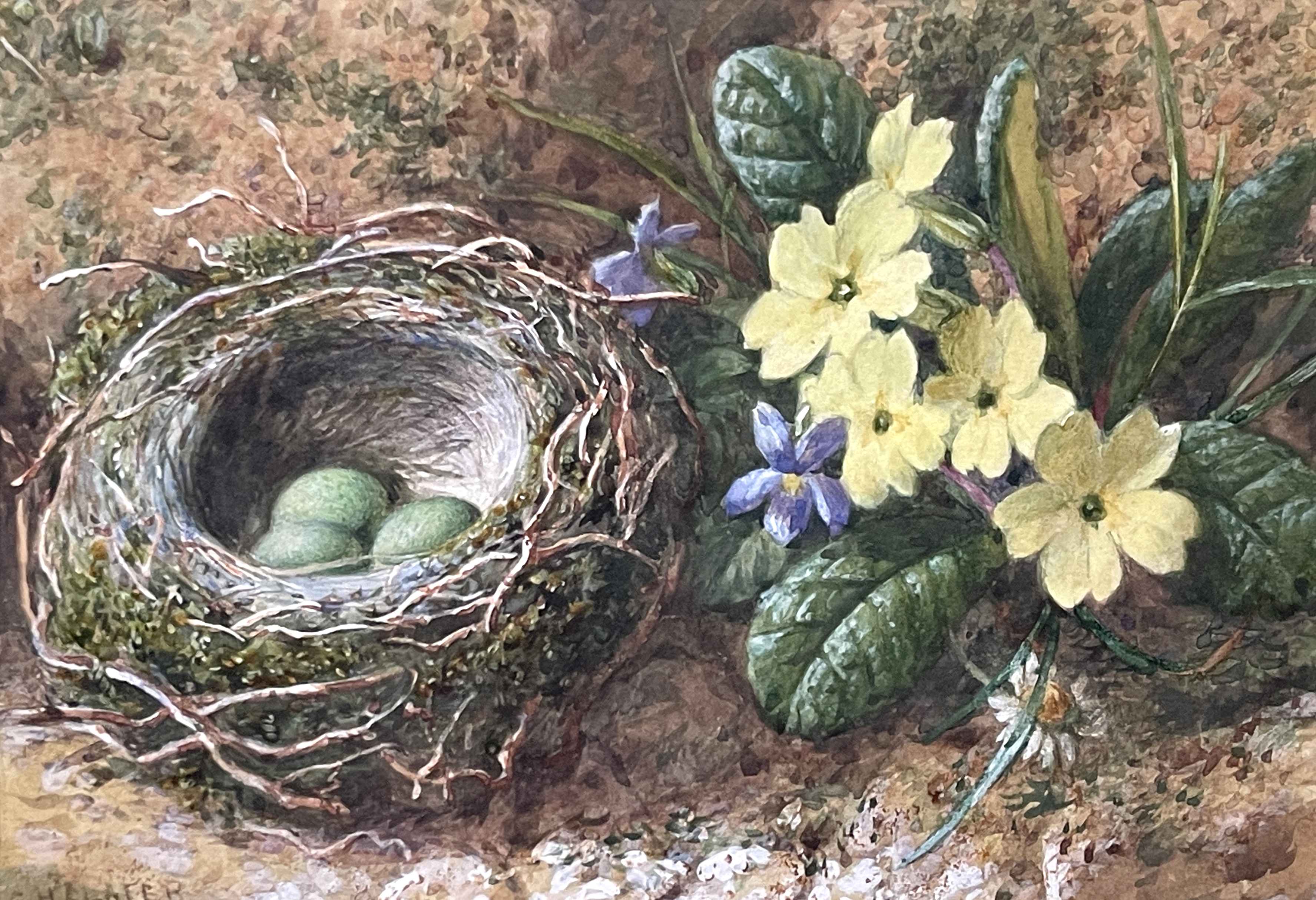 Charles Henry Slater (British, c.1820-1890), still life of a bird nest with eggs and yellow