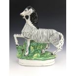 A 19th Century Staffordshire pottery model of a prancing zebra, modelled wearing reigns,