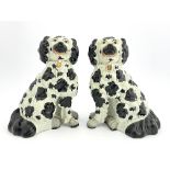 A large pair of 19th Century Staffordshire pottery chimney spaniels, black and white, wearing gilt