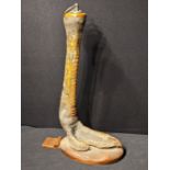 Rowland Ward of Piccadilly (1848-1912), a large taxidermy ostrich leg door stop, makers plaque to