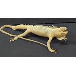 A late 19th/early 20th century Taxidermy Iguana