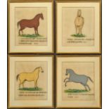 A set of 4 19th century Indian watercolours of horses, H.27cm W.21cm