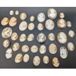 A large collection of 36 Victorian cameos