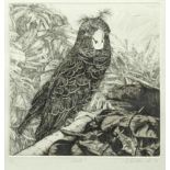 Elizabeth Butterworth (British, b.1949), Parrot (plate 6), etching, signed in pencil, artists proof,